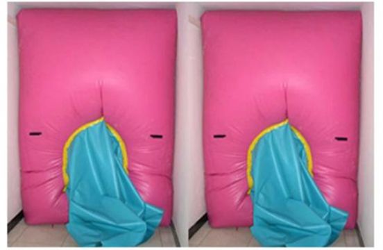 點(diǎn)擊查看詳細(xì)信息<br>標(biāo)題：快速封堵氣囊 閱讀次數(shù)：2767