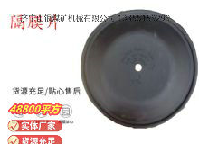 點(diǎn)擊查看詳細(xì)信息<br>標(biāo)題：氣動(dòng)隔膜泵配件-隔膜片 閱讀次數(shù)：301